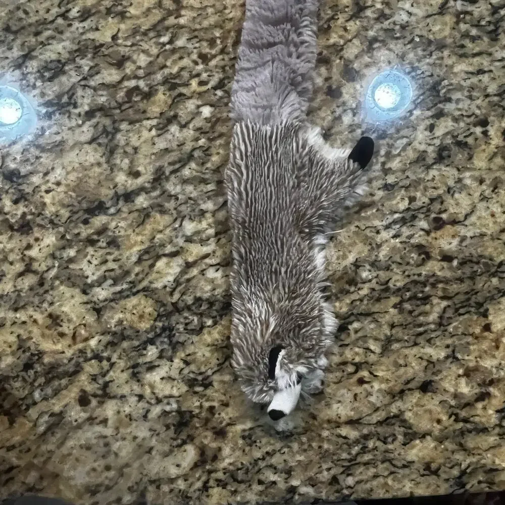 Fox Raccoon Squeaky Toy Flat Plush Woodland Animal‎ No Stuffing